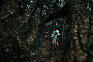 BIB: 
                            <button type="button" onclick="openModal(25692040)" class="btn btn-primary btn-sm float-right btn-popup" data-toggle="modal" data-target=".modal-high-quality">
                        <i class="fas fa-shopping-cart"></i> Add to Cart
                    </button>
                                            <button type="button" onclick="isThisMe(25692040, true)" class="btn btn-success btn-sm float-right btn-popup btn-isme hidden" data-toggle="tooltip" data-placement="bottom" title="นี่คือรูปของคุณใช่ไหม คลิกที่นี่เพื่อเอาเข้าอัลบั้ม">
                        <i class="fas fa-plus"></i> Add to album
                    </button>
                    <button type="button" onclick="isThisMe(25692040, false)" class="btn btn-warning btn-sm float-right btn-popup btn-isnotme hidden">
                        <i class="fas fa-ban"></i> Remove from album
                    </button>